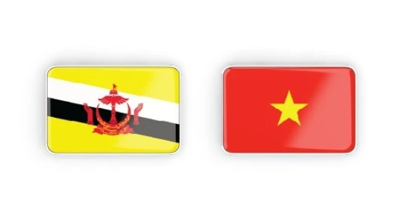 Vietnam visa for Brunei citizens