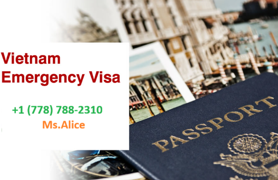 emergency vietnam visa