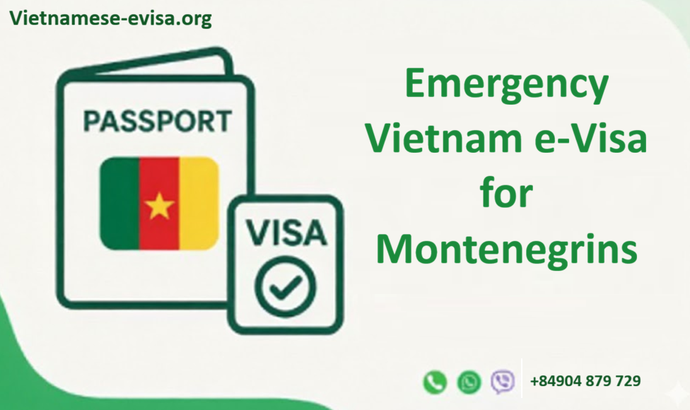Emergency Vietnam e-Visa for Montenegrins